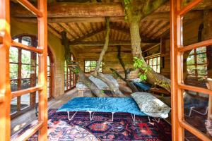 La Casa sullAlbero
