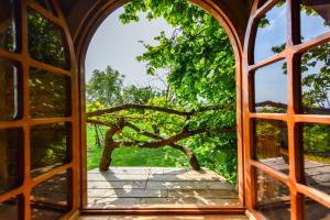 La Casa sullAlbero