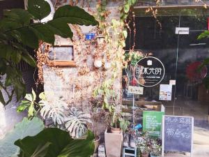 Good Dog Youth Hostel, Hostely - Kanton