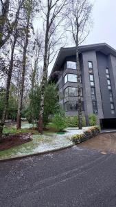 Nuevo Departamento Pucon - Los Boldos