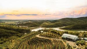 la Réserve by Duka Winery