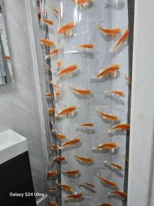 Best room