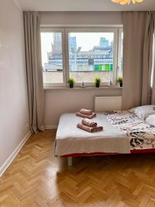 City Lights 3 Rooms Apartments