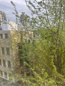 The Nivy Executive Suite, 3 Bedrooms and Livingrooms, Fits 8 Guests