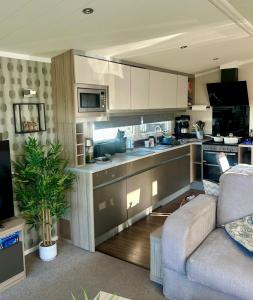 Wild Thistle static Caravan