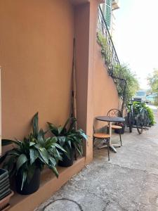 Mika Studio