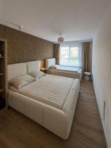 Be BDuplex in Golem Durres