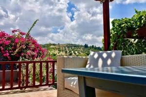 Villa Kallergi Athena