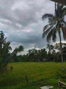 Benang Kelambu Cottage