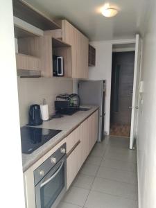 Renovated and Spacious apartment in Santiago!