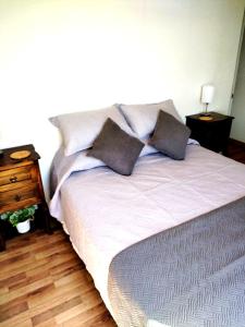 Renovated and Spacious apartment in Santiago!