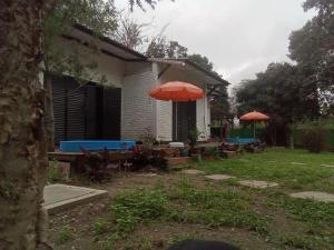 Casa113