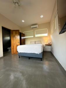 Casa Colibrí - Sophiassuites506