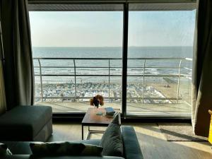 Beautiful Seaview Apartment for 4