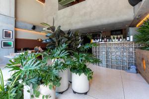 BoH Collection