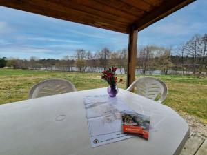 Chalet paisible, animaux admis - 4 pers. - FR-1-496-394