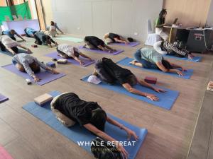 Whale Retreat Destination