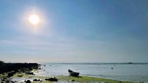 Du mục stay