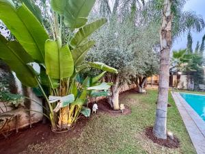 La Villa Tariq