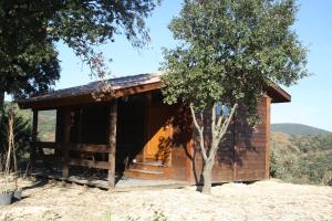 Les Chalets en Cevennes : photos des chambres