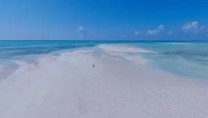 Alawi Home - Msabaha