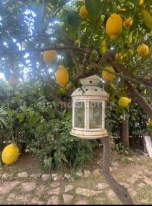 Beautiful villa 20 meters from the sea