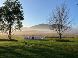 Mt Hope Farmstay 2 houses 16 guests 700 acres pool tennis crt