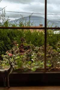 STACJA MAGURKA SKI&BIKE