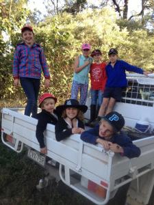 Mt Hope Farmstay 2 houses 16 guests 700 acres pool tennis crt