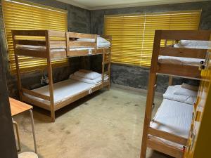 Osoha guest house