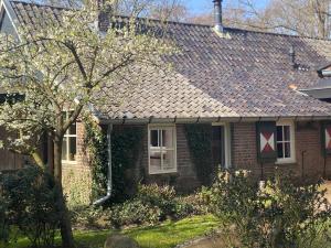 Den Doezel