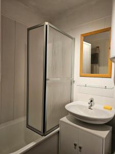 Logement Chaleureux pied de piste