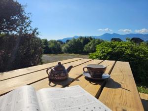 Logement Chaleureux pied de piste