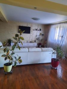 MihaiResidence