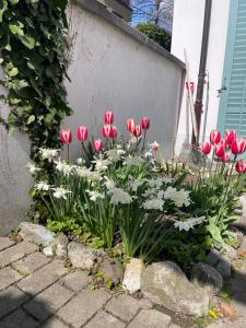 Spacious light-flooded apartment with garden at Lake Zurich
