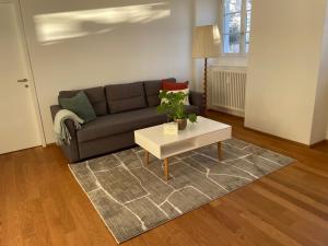 Spacious light-flooded apartment with garden at Lake Zurich