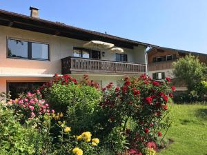 Apartment Linde