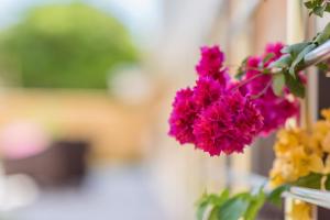 The Green of Oysterbay