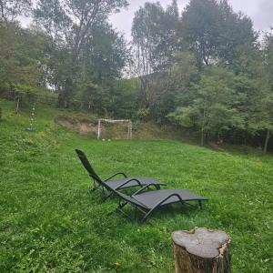 Forest House Doftana