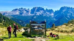 Studio Apartment in Marilleva 1400 Short-term rentals