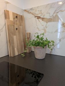 De kleedkamer