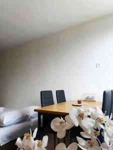 Quiet and Comfortable Apartment for Four