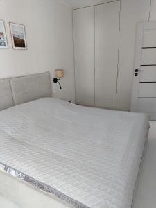 Apartament MISDRO