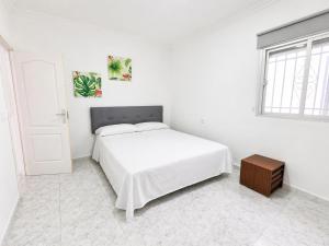 Apartamento San Francisco en Conil