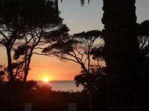 Villa Erica vista mare