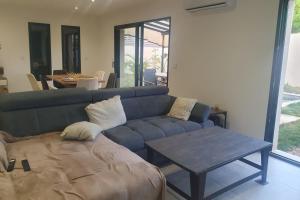 Spacious house with garden and pool