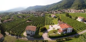 Il Nido Appartamento Rondine