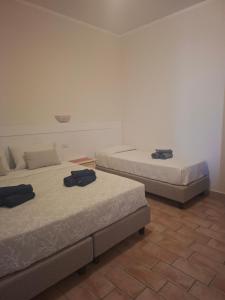 B&B La Pavoncella img56