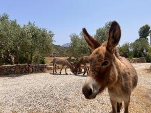 Agriturismo Matta e Sole img5