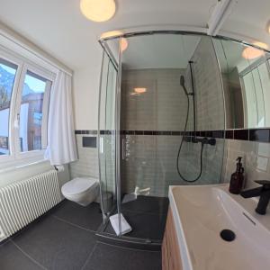 Design-Studio nahe der Piste Lenzerheide